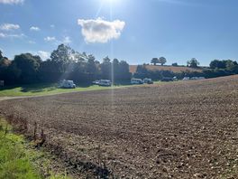 Morning view of the site