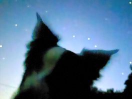 Open skies at night