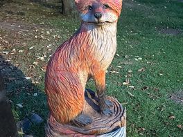 Foxy