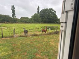 Lots of space and peaceful