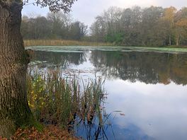 View of lake