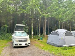 Motor home pitch 2 - backs on to the woods
