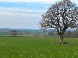 Our walk around the farm