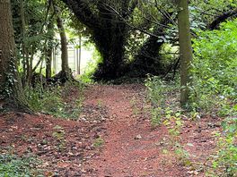 View from trail to the pitch site.