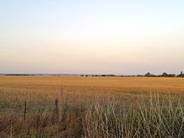 View from campsite