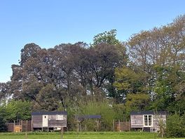 The huts