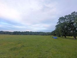 Campsite