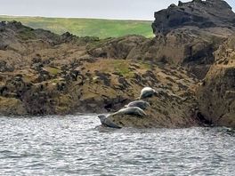 Boat trip from st ives