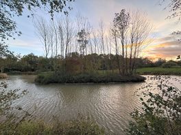 Site