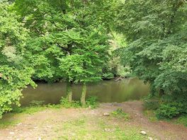 River bank photo