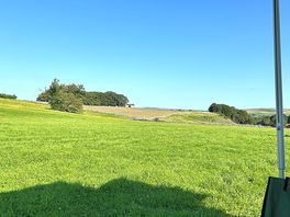 Morning view