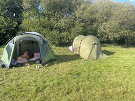 Came with friends and shared 2 tents.