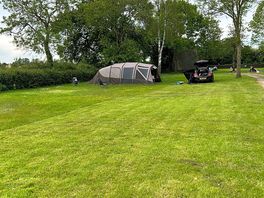 Our pitch