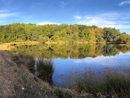 Panoramic photo of fishing lake