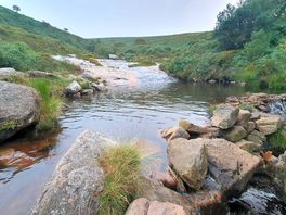 Wild swimming spot
