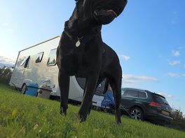 Loki was king of the castle while we stayed.