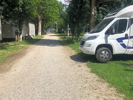 Nice shady pitches in the trees.