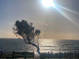 Beach 10 minutes walk