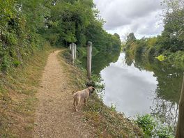 Lovely walks to explore
