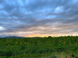 Dark sky area with beautiful sunsets