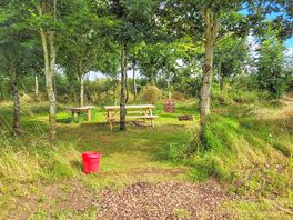 Woodland pitches
