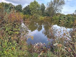 Fishing lake