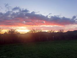 Sunset on a beautiful summer evening.