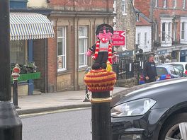 Beautiful pickering