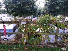Emplacement terrasse