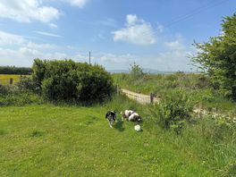 Site