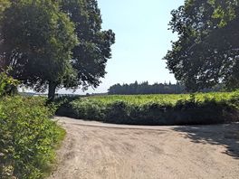 The local area