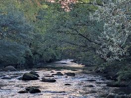 River view