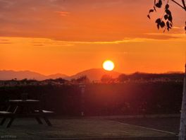 Walk with the sundowner