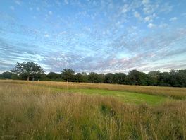 Beautiful field