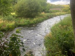 The river arwen