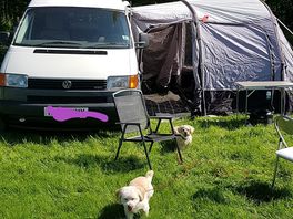 Our set up