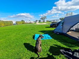 Tent with electric pitch