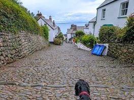 Clovelly with a spaniel
