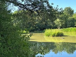 Fishing lake