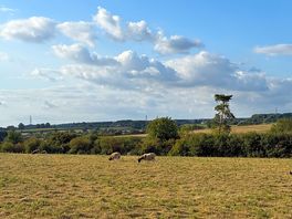 Beautiful views around the camp site.