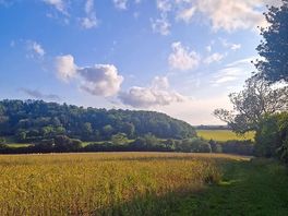 The view beside the camping field.