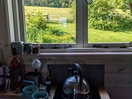 Well equipped kitchen with milk for tea
