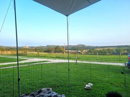 Great view