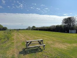 Grass and earth pitch