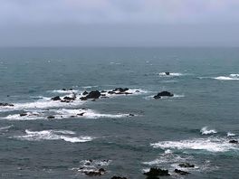 Lizard point