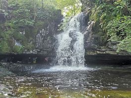 Kingsdale