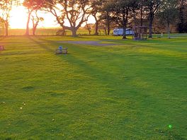 View's of the site