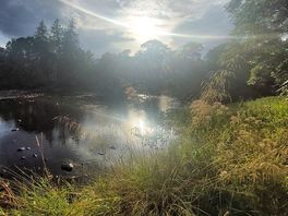 Evening light over the river