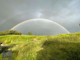 Double rainbow over marmalade