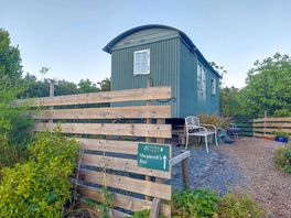 Visitor image of the shepherd's hut
